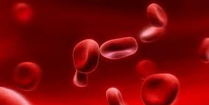 plasma_cover_photo_300x151